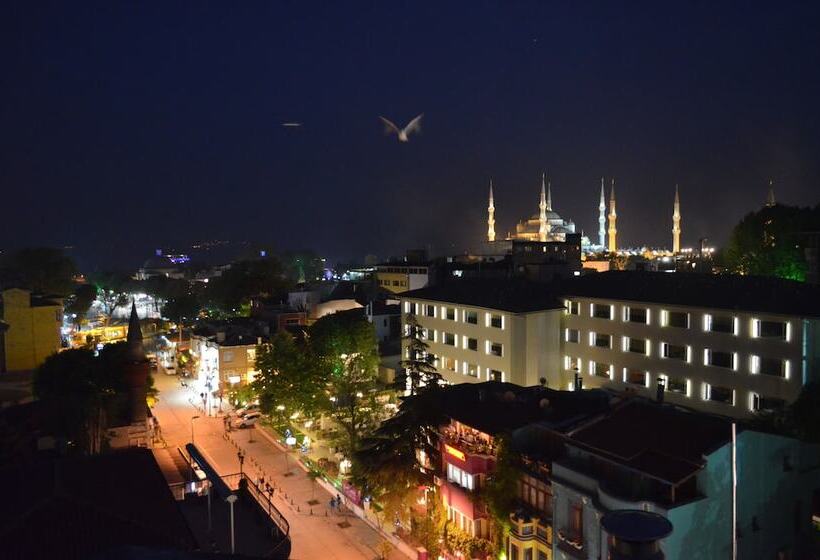 Fotos del hotel The Istanbul Hotel:  23