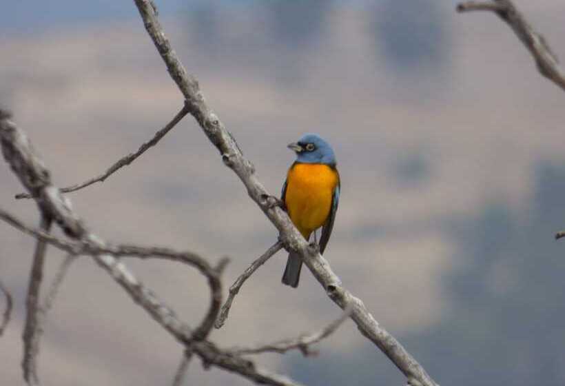 هتل Villa Antigua