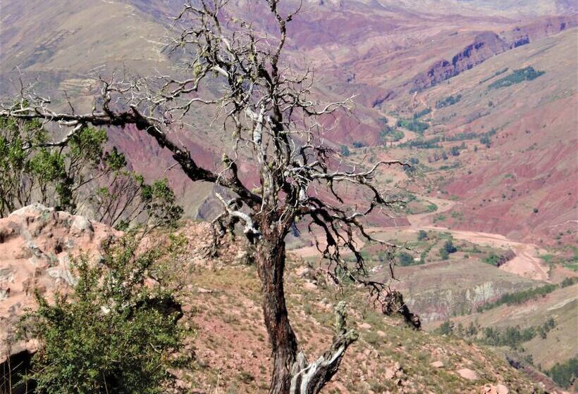 هتل Villa Antigua