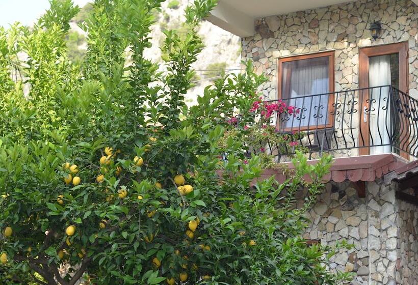 هتل Villa Monte