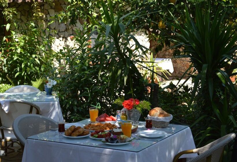 هتل Villa Monte