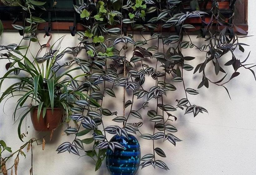 Fotos del hotel Villa Sphendone Suites:  19