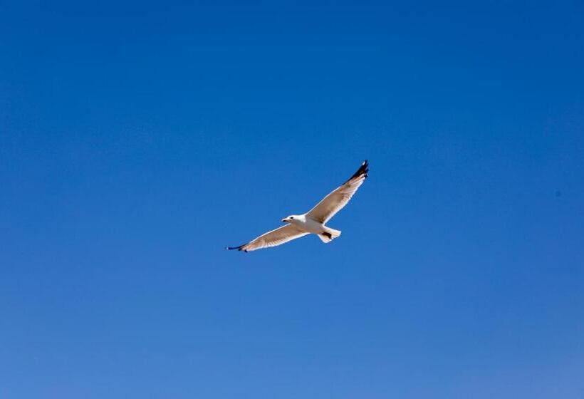 Fotos del hotel Villa Sphendone Suites:  25