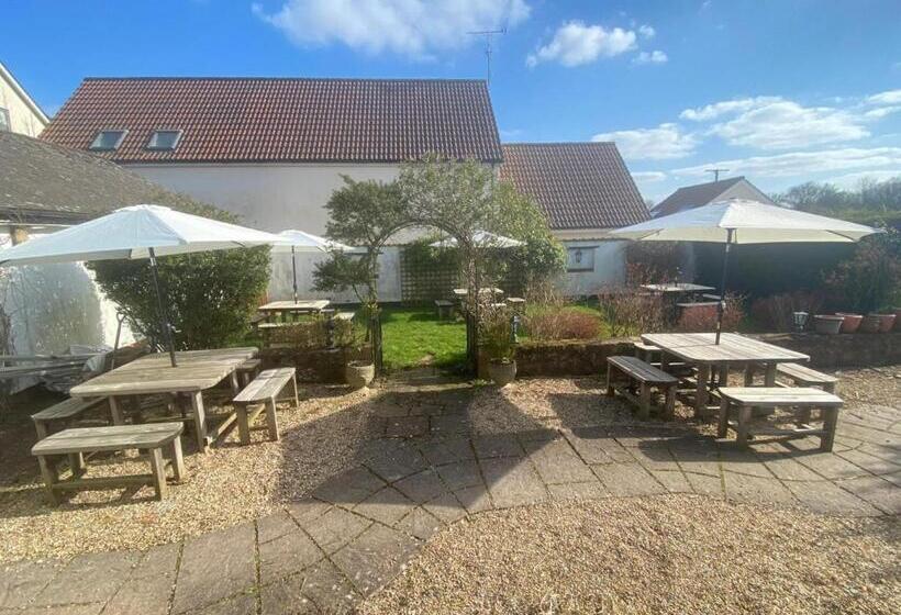Bed and Breakfast The Martlet Inn