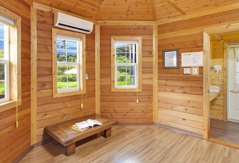 Hwacheon Parprika Yellow Pension