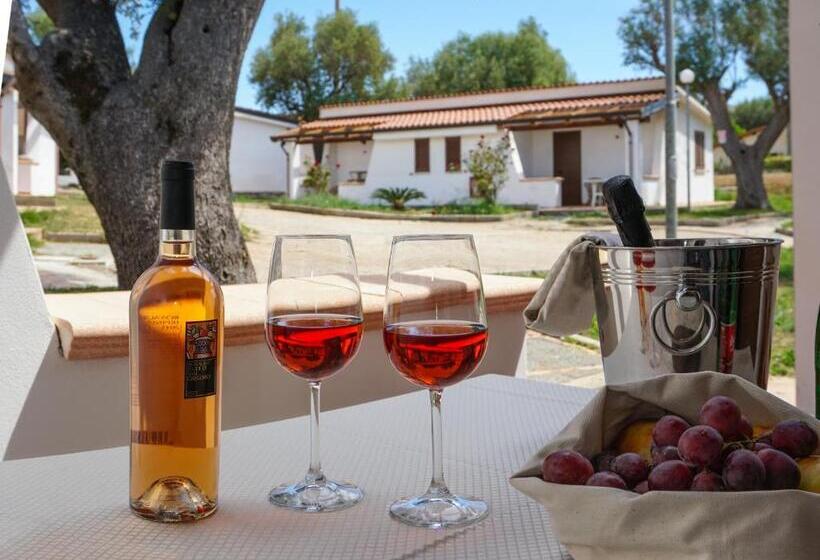 استراحتگاه Cilento Dreams Village