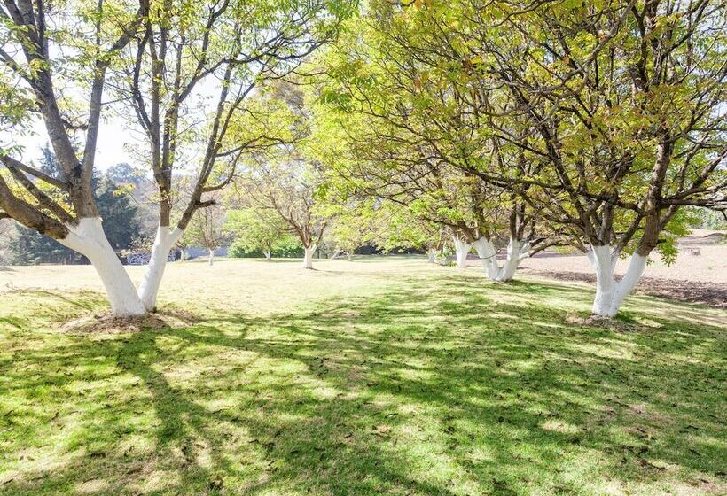 هتل San Ramon