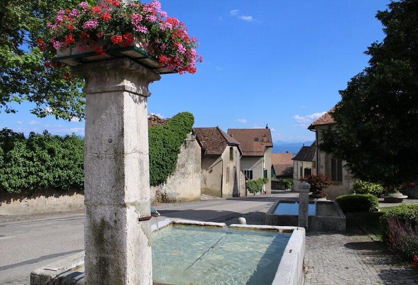 تختخواب و صبحانه Au Cœur Du Vignoble Sur Bursins