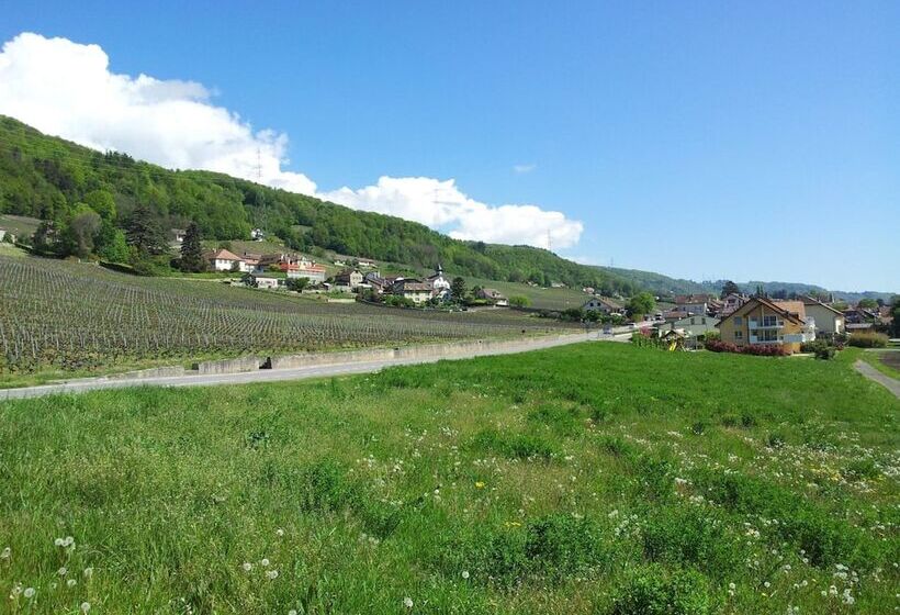 تختخواب و صبحانه Au Cœur Du Vignoble Sur Bursins