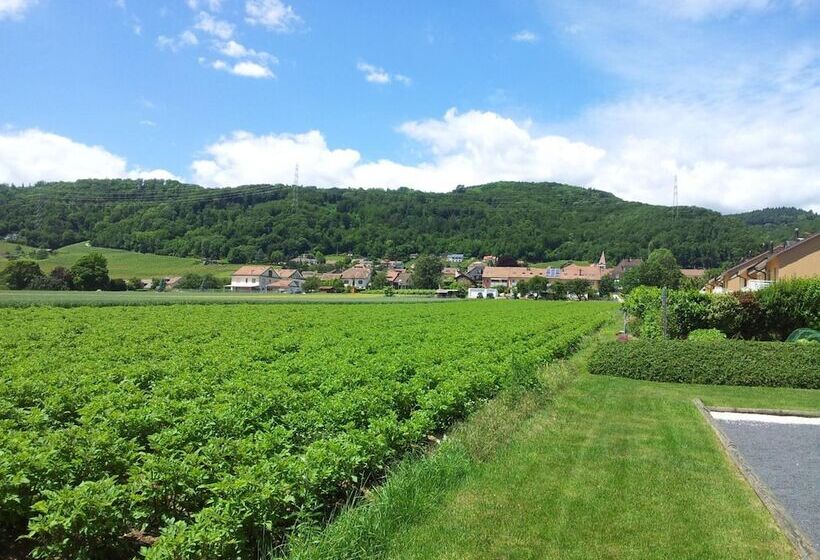 تختخواب و صبحانه Au Cœur Du Vignoble Sur Bursins