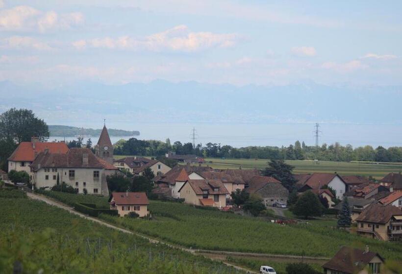 تختخواب و صبحانه Au Cœur Du Vignoble Sur Bursins