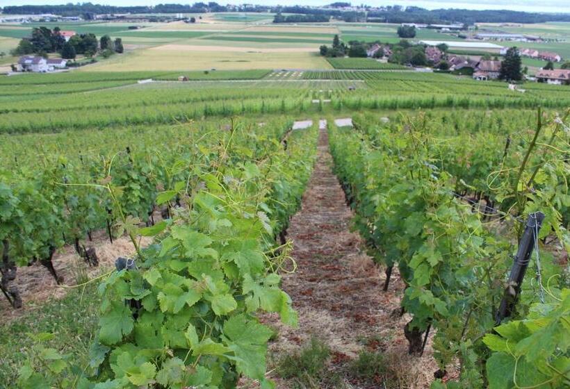 تختخواب و صبحانه Au Cœur Du Vignoble Sur Bursins