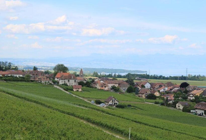 تختخواب و صبحانه Au Cœur Du Vignoble Sur Bursins
