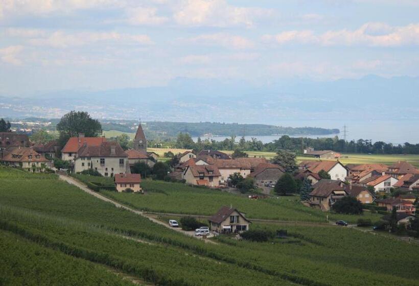 تختخواب و صبحانه Au Cœur Du Vignoble Sur Bursins
