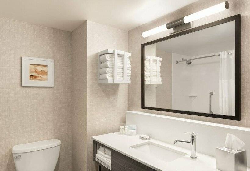 בית מלון כפרי Hampton Inn & Suites St. Charles Old Town Area