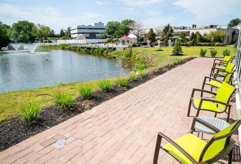 فندق Springhill Suites By Marriott Woodbridge