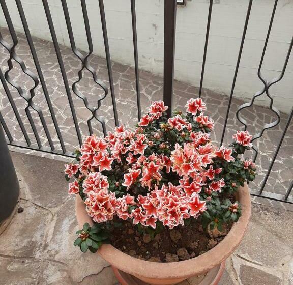 膳宿费 Casa Vacanze Da Cinzia