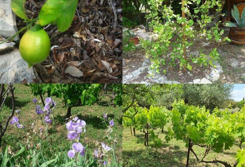 צימר Villa Des Masques