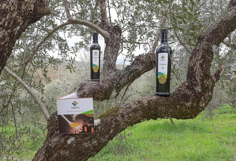 ホテル Agriturismo Cuorelieto Del Cilento