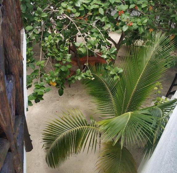 هتل Posada Yalekin Holbox