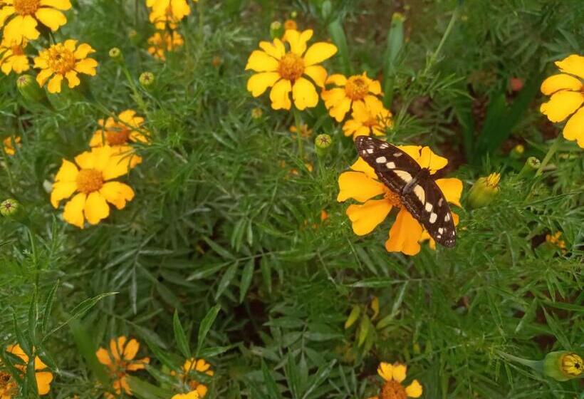 تختخواب و صبحانه Finca San Miguel Filandia