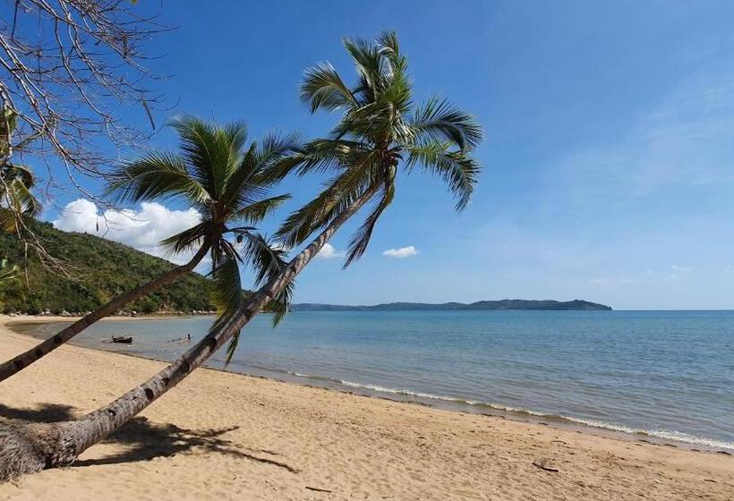 پانسیون Coconut Lodge