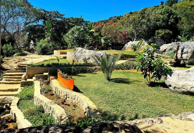پانسیون Coconut Lodge