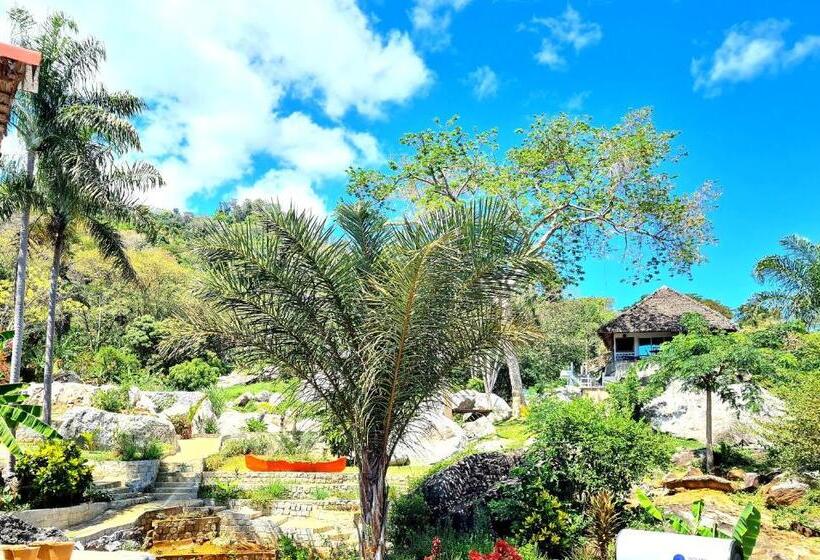 پانسیون Coconut Lodge