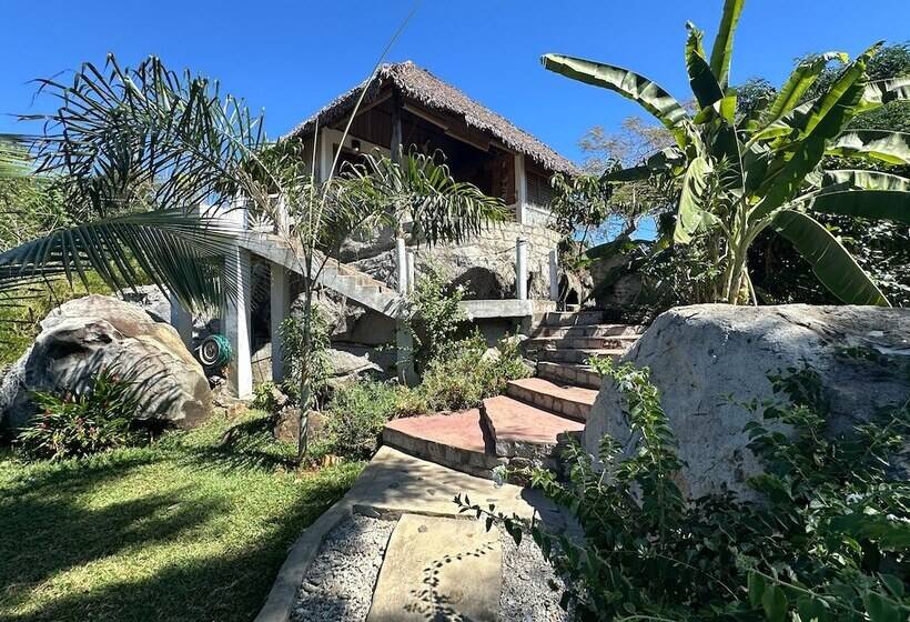 پانسیون Coconut Lodge