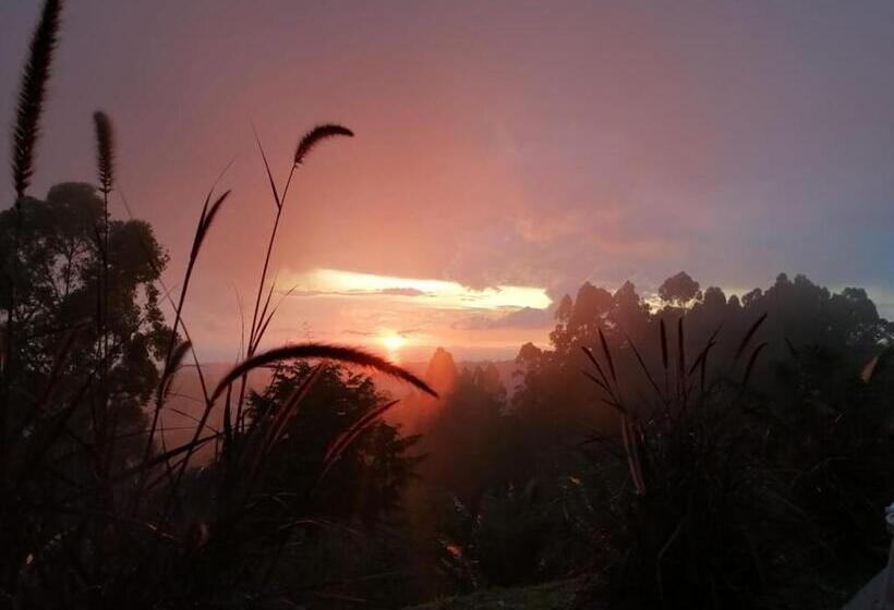 هتل Natura Cocora