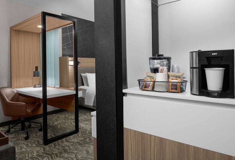 هتل Springhill Suites By Marriott Riverside Redlands