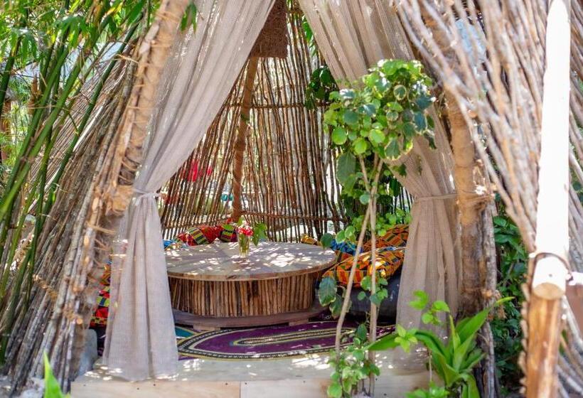 בית מלון כפרי The Nest Boutique Resort