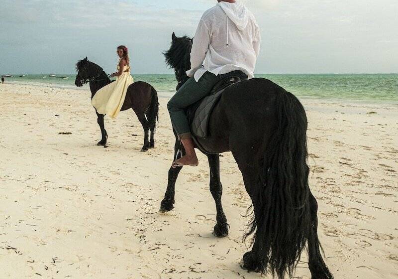 בית מלון כפרי The Nest Boutique Resort