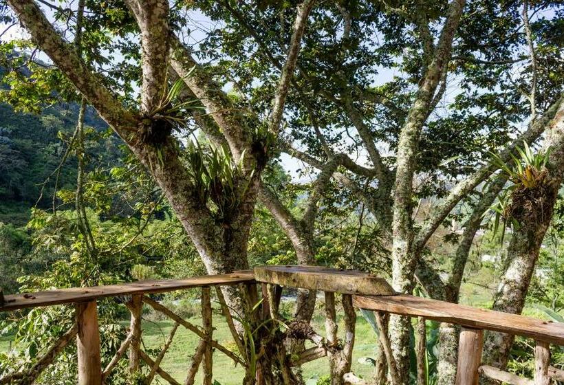 Пансион Cabana Del Rio Lejos Pijao, Finca Flora Del Rio