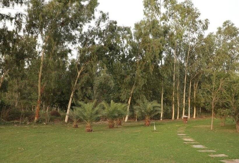 리조트 Brigadier S Plantation Retreat