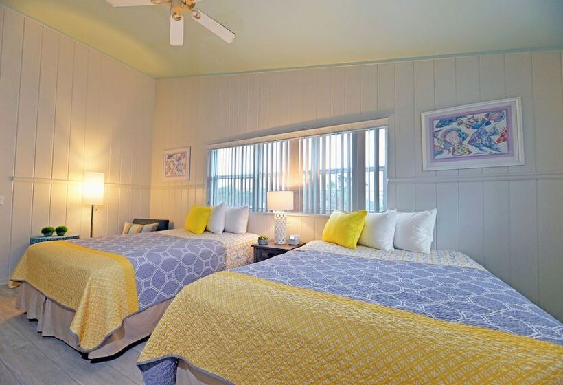 هاستل The Islander Inn
