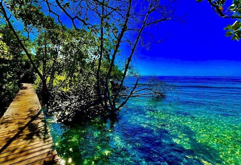 هتل Turtle Bay Inn