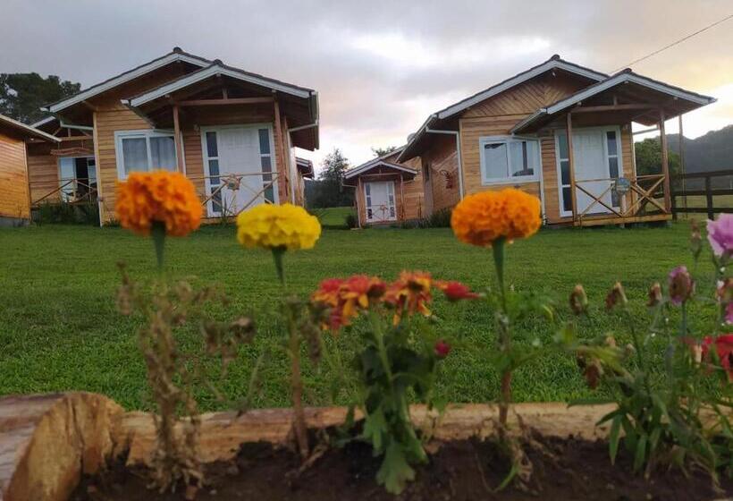پانسیون Pousada Flor Do Campestre