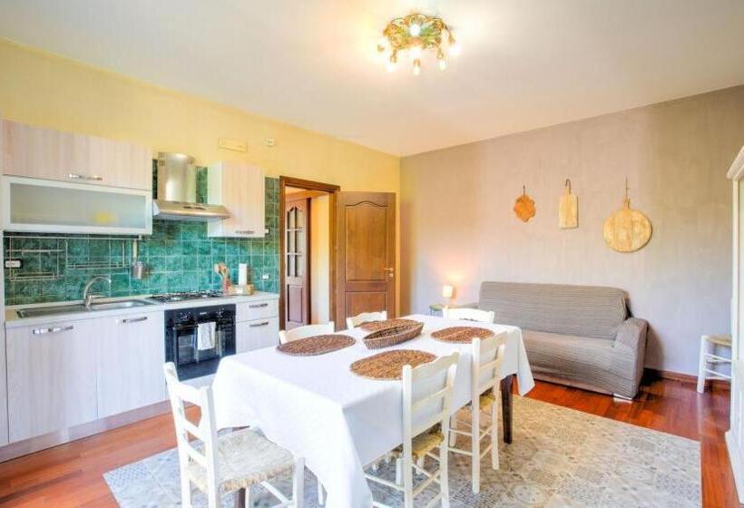 تختخواب و صبحانه Musae Apartments