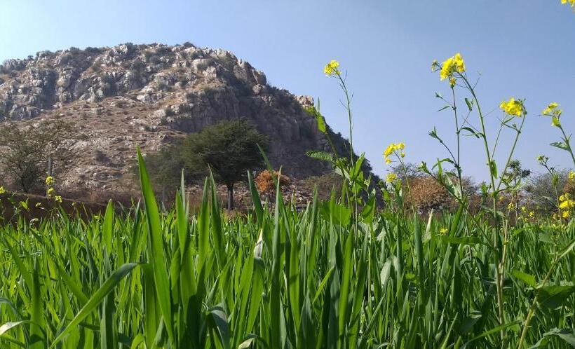 فندق Ghodela Niwas