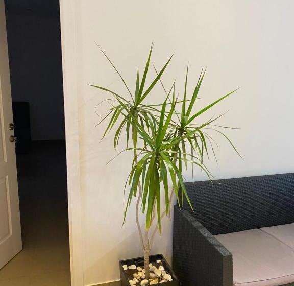 Omis Rooms