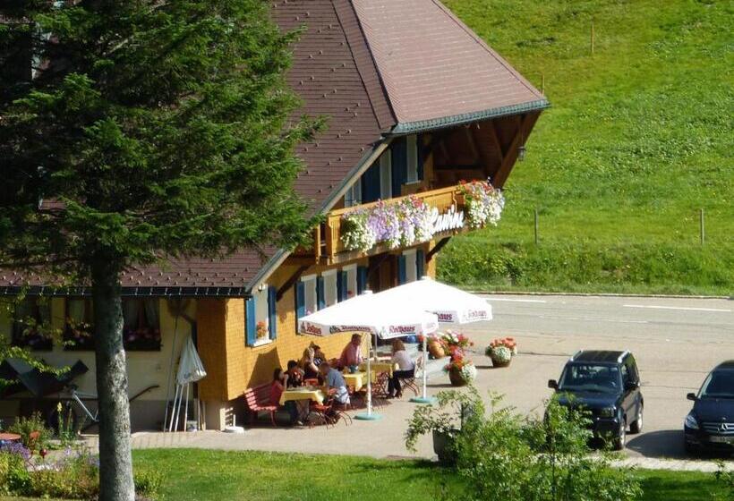 Akzent Hotel Lawine