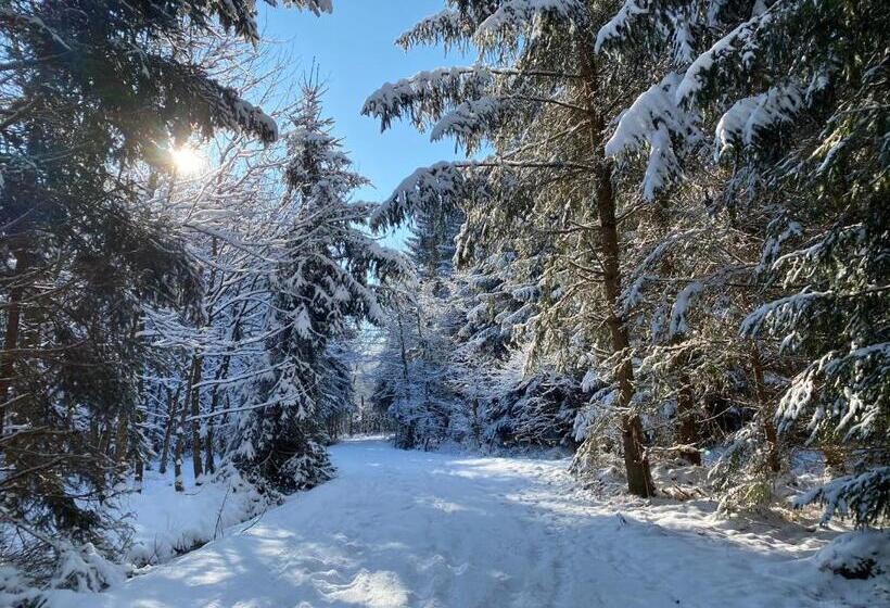 호텔 Bayernwinkel   Yoga & Ayurveda