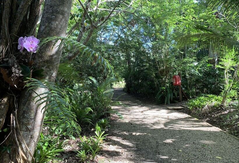 호텔 Cedar Park Rainforest Resort