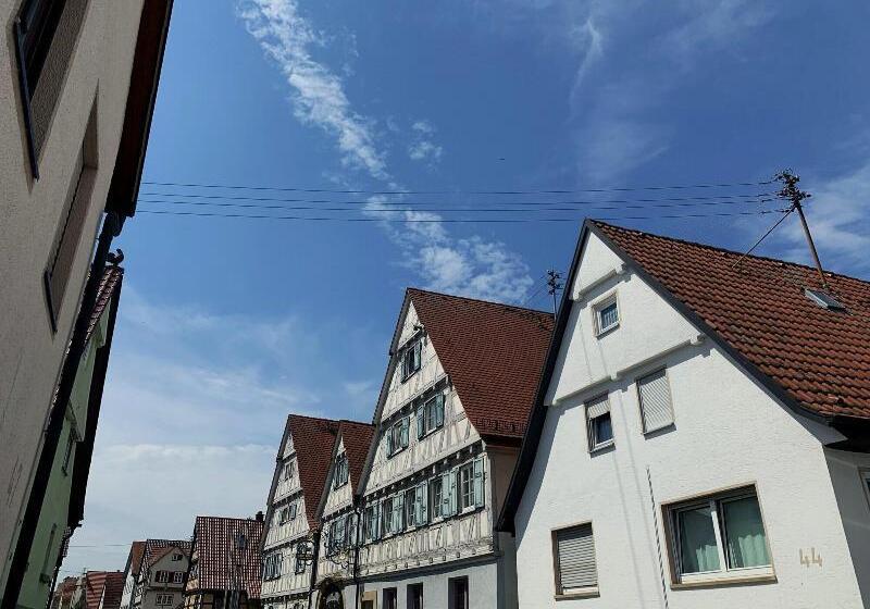 Historik Hotel Ochsen