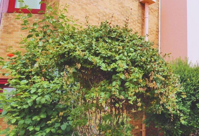 호텔 Hôtel Du Parc Limoges & Restaurant Le Temps D Une Pause