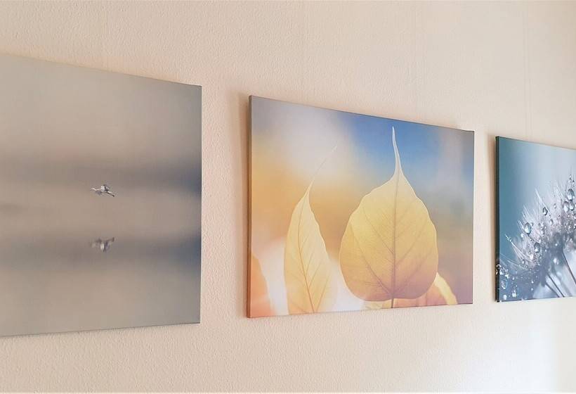 Fotos del hotel Melarose Feng Shui:  21