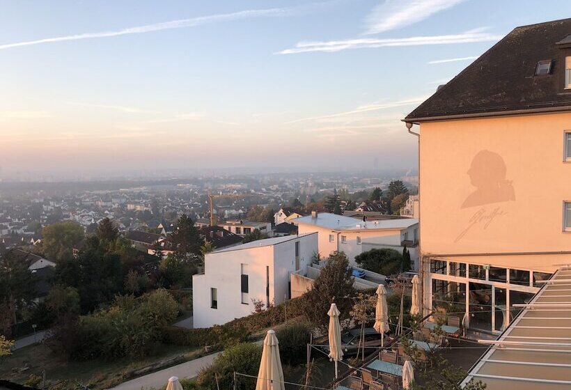 Fotos del hotel Schöne Aussicht:  40