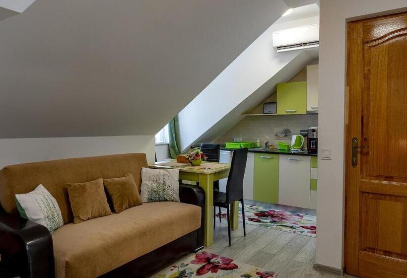 Casa Steluta