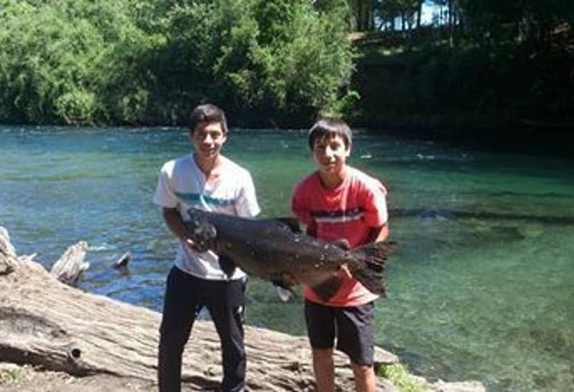 پانسیون Cabana 4 Personas En Hermoso Paisaje En Pucon